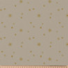 Canvas ZELUM2 Linen